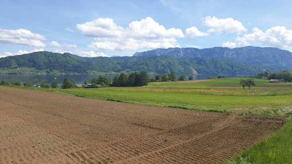 Panoramablick nach Attersee rüber über den See,  Blickrichtung Alexenau